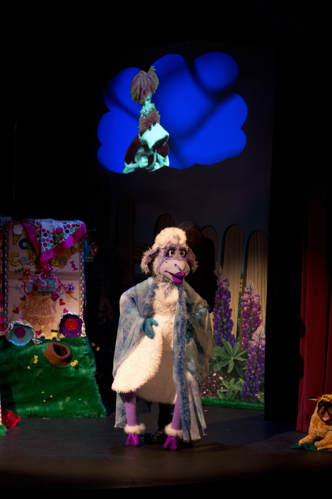 Wake Up Your Weird! Follows Lolly, a  5 year old candy loving sock puppet who gets bullied out of a  play-date.  The audience joins Lolly on her journey as she deals with hurt feelings by weaving a magical tale about a girl and her brain named Doyle, a Fa