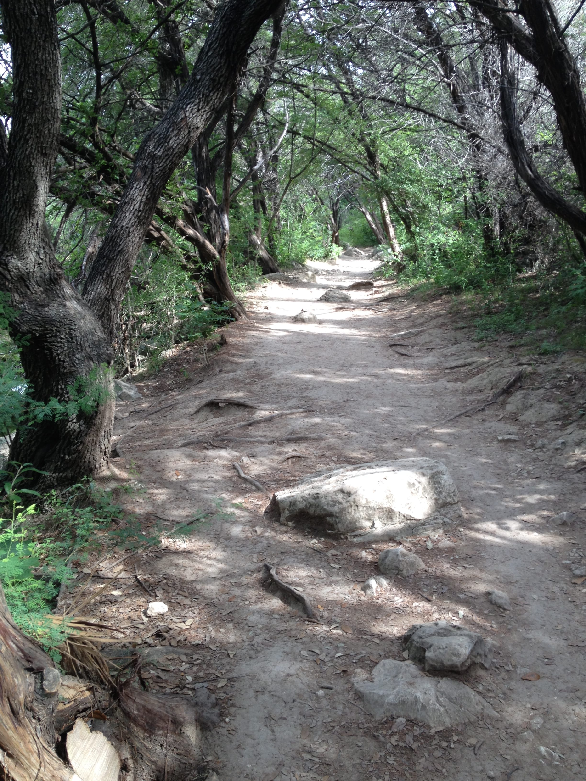 10 Best Hikes for Families in Austin – Do512 Family