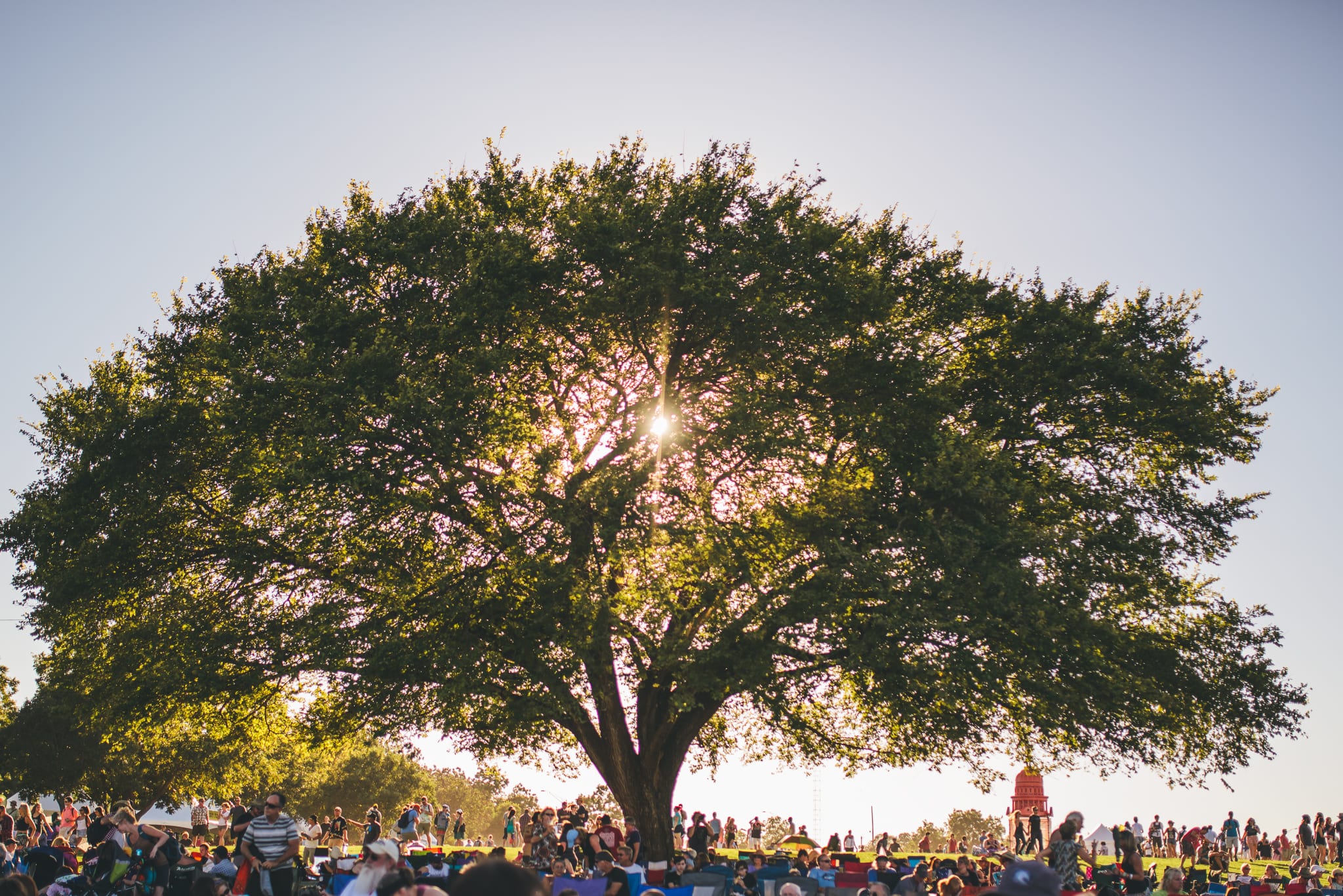 100 Things to Do at Zilker Park – Do512 Family