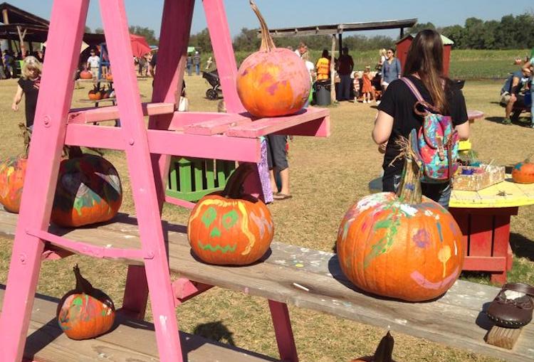 Top 10 Pumpkin Patches Around Austin Do512 Family