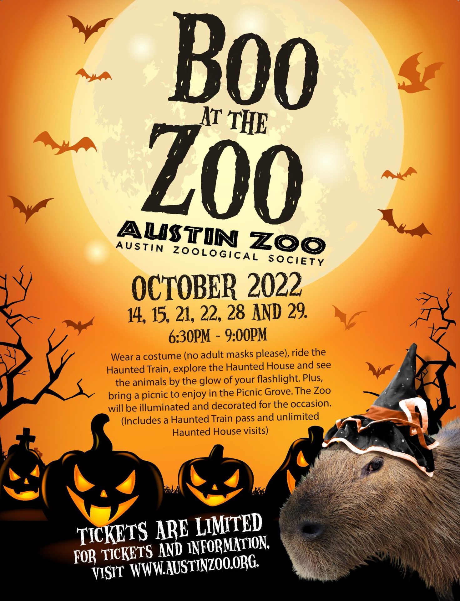 Boo at the Zoo – Do512 Family