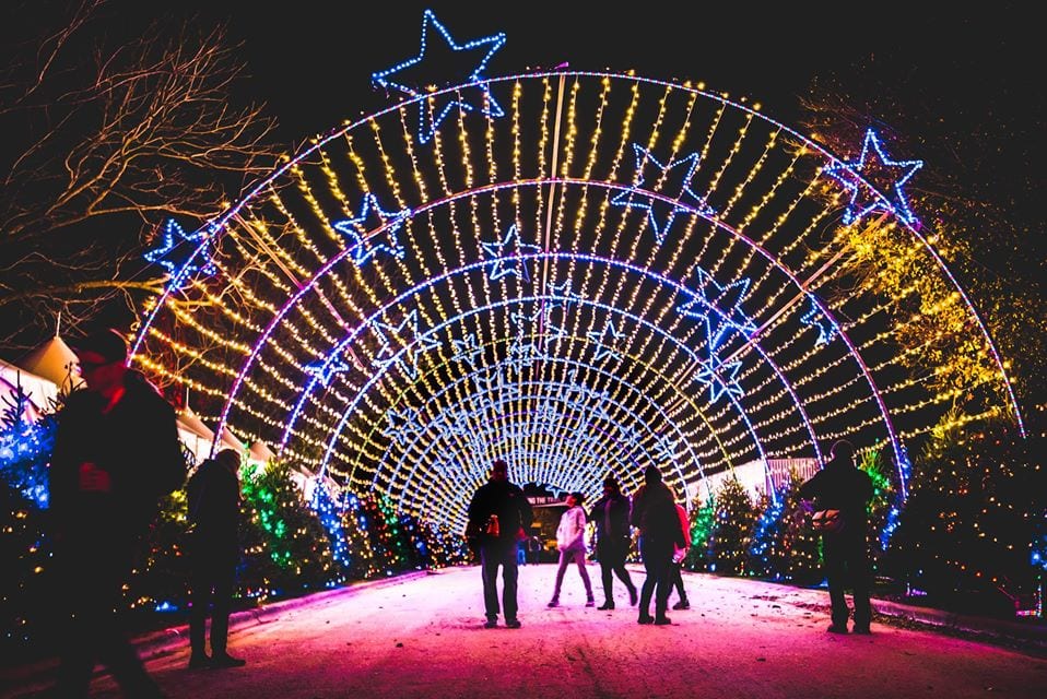 Everything You Need to Know About Trail of Lights Do512 Family