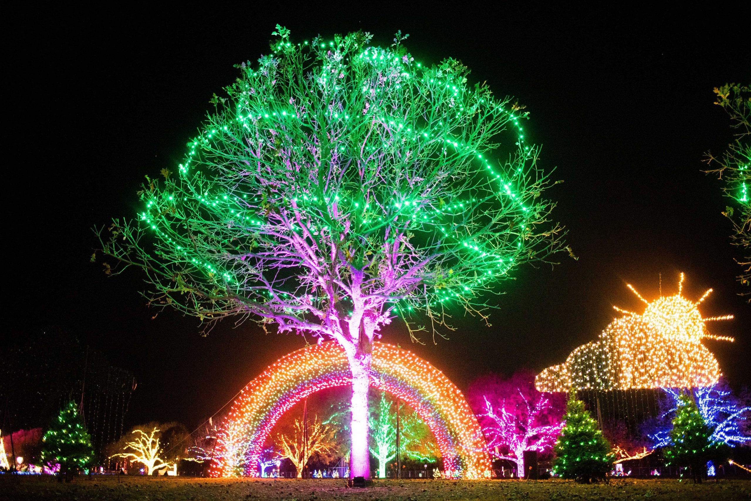 Zilker Park Christmas Lights 2021