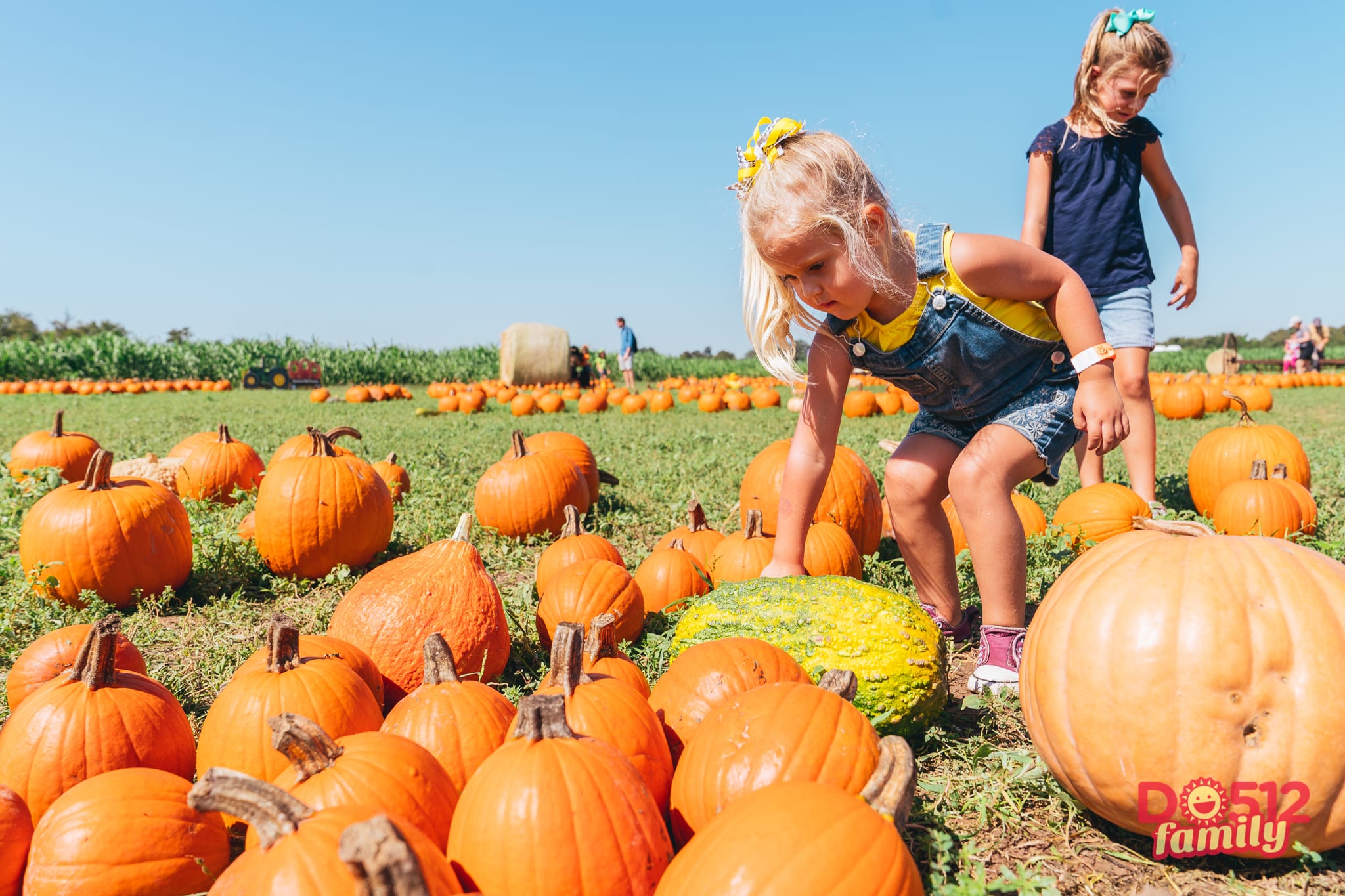 Top 10 Pumpkin Patches Around Austin – Do512 Family