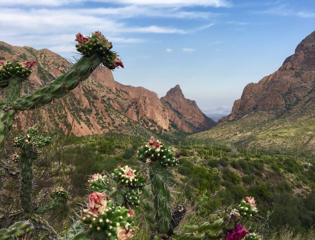 Family Travel Adventures Visiting Big Bend National Park West Texas Do512 Family