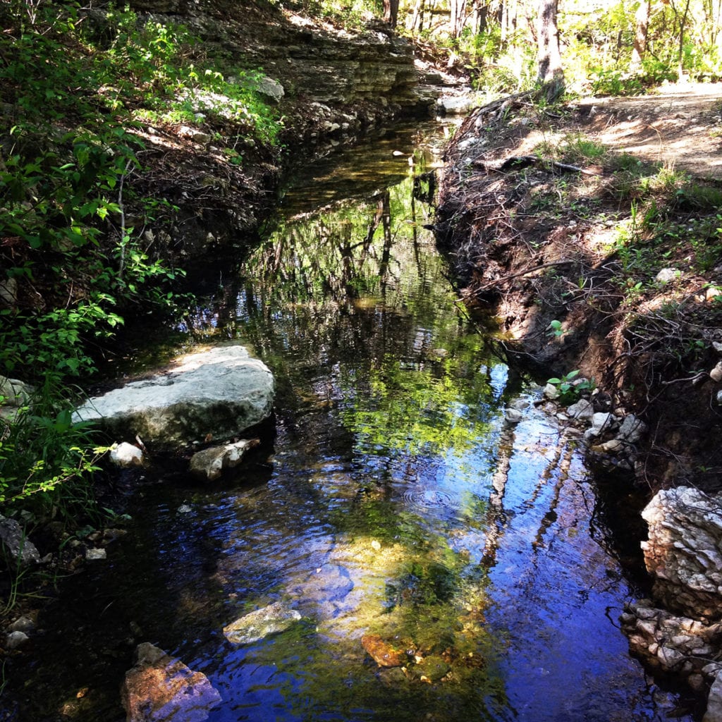 Barrow Creek runs through the Preserve and can be a nice place to cool off on a hot day.