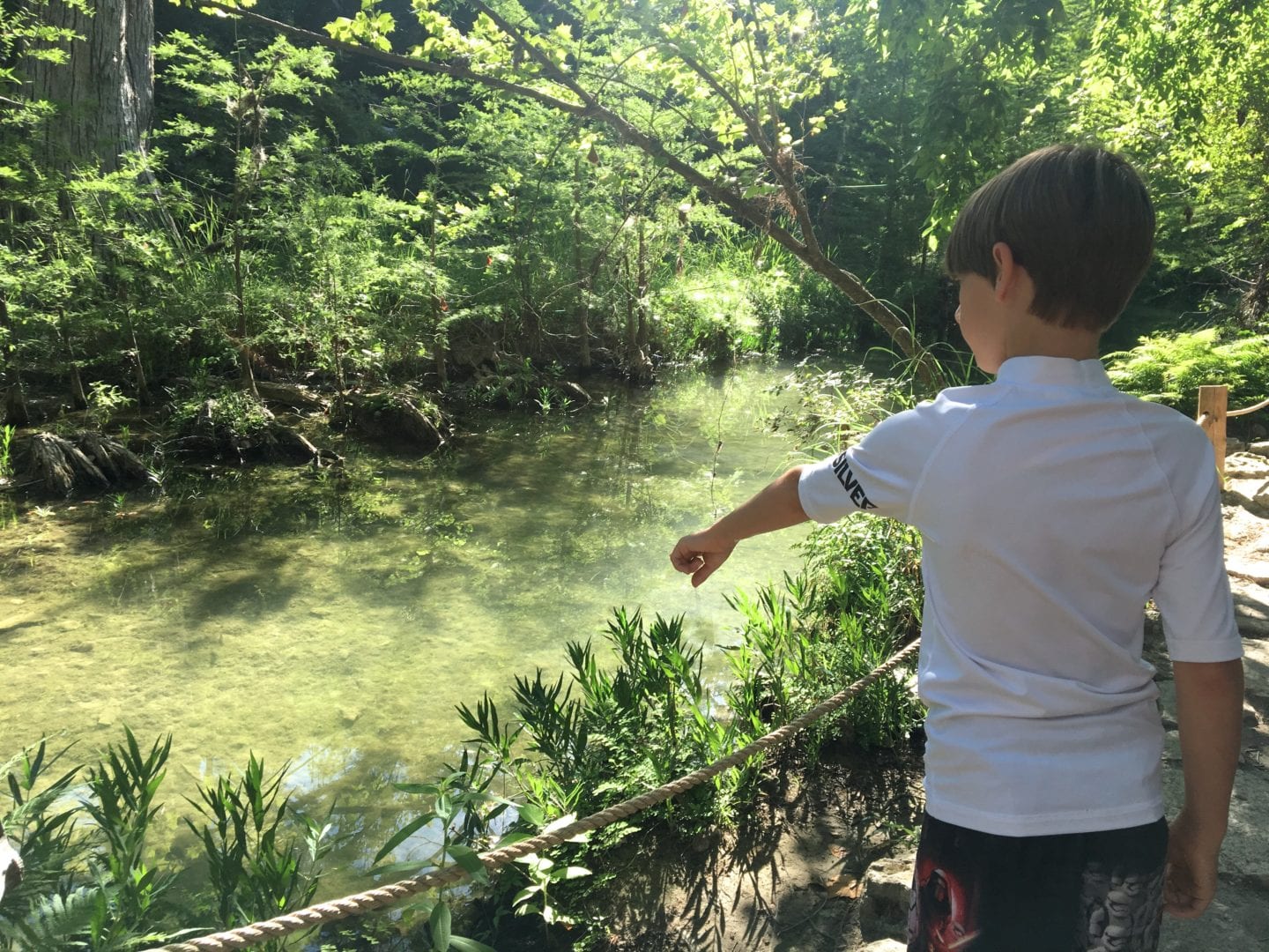 Visiting Hamilton Pool Preserve – Do512 Family