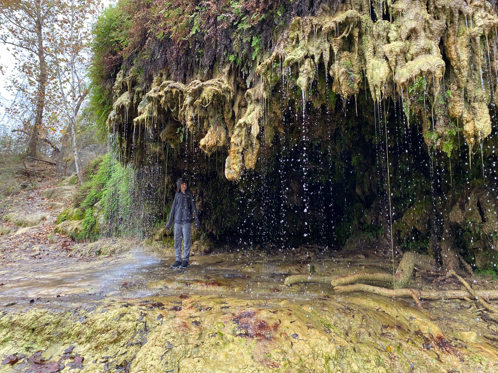 Hiking Crockett Gardens And Falls